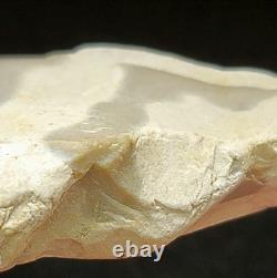 Unique Interesting Rock With Natural 40 Embedded One Of A Kind