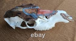 Unique One Of A Kind C. M. O'KELLEY Southwestern Painted Skull