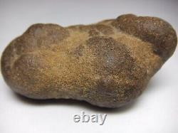 Unique One of a Kind Mother Earth Gaia Goddess Body Concretion Mineral Natural