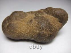 Unique One of a Kind Mother Earth Gaia Goddess Body Concretion Mineral Natural