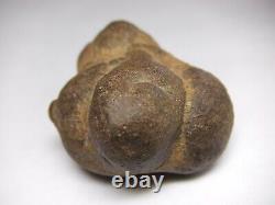 Unique One of a Kind Mother Earth Gaia Goddess Body Concretion Mineral Natural