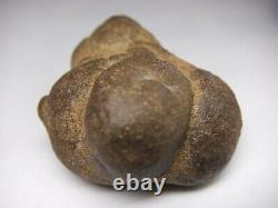 Unique One of a Kind Mother Earth Gaia Goddess Body Concretion Mineral Natural