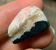 Very Rare One Of A Kind Tugtupite Sodalite Nuummite Combo Tumble Stone 8.7g