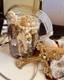 Vintage Holy Grail Jewelry Jar $300+ Rare Luxury Treasure Lot One Of A Kind