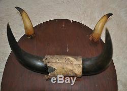 Vintage Plaque/gun Rack With 2 Pair Of Bison Horns! Very Unique One Of A Kind