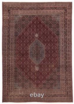 Vintage Traditional Hand-Knotted Area Rug 9'10 x 13'9 Oriental Wool Carpet