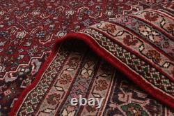 Vintage Traditional Hand-Knotted Area Rug 9'10 x 13'9 Oriental Wool Carpet