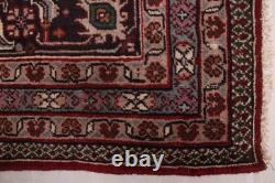Vintage Traditional Hand-Knotted Area Rug 9'10 x 13'9 Oriental Wool Carpet