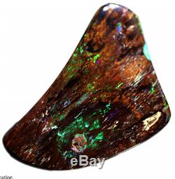 134,3 Cts Fossilisé Bois Super Rare One Of A Kind Opal Gemstone