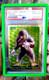 2022 Topps Chrome Metazoo Bigfoot Superfractor 1/1 Psa Authentique Saint Graal