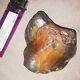 3/4 Lb Full Nod Un D'un Agate Supérieur De Lac À Rayons Banded Shell