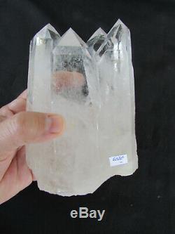 6 1/2 Astonishing Naturel One Of A Kind Tantrique Double Cristal Quartz 3,46 Lbs