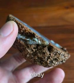 AGATE RARE CRISTAL avec image naturelle de dauphin ! GEMME INCROYABLE UNIQUE EN SON GENRE