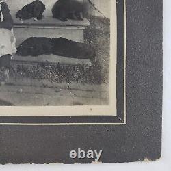 Adorable Petite Fille Avec Chiots Photo C1900 Dog Cabinet Card Antique U153