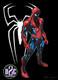 Art Comique Unique/ Spiderman Seul