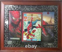 Art mural Spider-Man unique