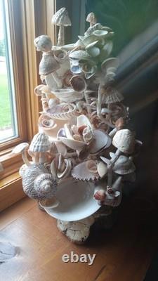 Authentique Original Unique Champignon de Coquillage Mexicain pour Jardin de Fées