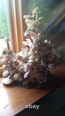 Authentique Original Unique Champignon de Coquillage Mexicain pour Jardin de Fées