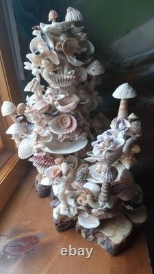 Authentique Original Unique Champignon de Coquillage Mexicain pour Jardin de Fées