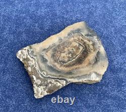 Bol peu profond en onyx marron - Une pièce unique en pierre solide naturelle de forme libre (OOAK)