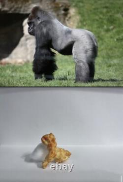 Cheeto en forme de Harambe, objet unique, collection rare, Cheetos Harambae, OOAK, HTF