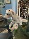 Chien Dalmatien En Papier Mâché Signé, Taille Réelle, Unique En Son Genre. 15