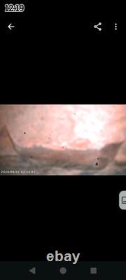 Des artefacts uniques en leur genre. Des pierres à histoires aux pictogrammes écaillés, sans équivalent.