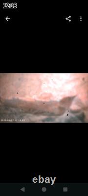 Des artefacts uniques en leur genre. Des pierres à histoires aux pictogrammes écaillés, sans équivalent.