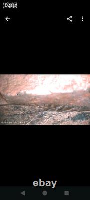 Des artefacts uniques en leur genre. Des pierres à histoires aux pictogrammes écaillés, sans équivalent.