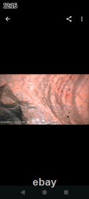 Des artefacts uniques en leur genre. Des pierres à histoires aux pictogrammes écaillés, sans équivalent.