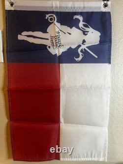 Drapeau du Texas Frieren unique en son genre, signé. 40 cm x 60 cm, signé le 23/05/26. Très rare