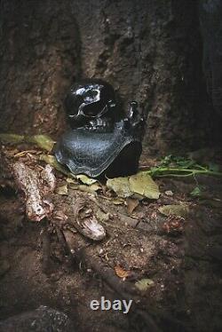 Escargot En Cristal Obsidien Noir Grande Main Sculptée 7,5 Une Pièce D'un Genre