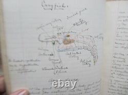 GRAND UNIQUE NOMMÉ 1899 Livre de notes et de croquis de classe d'antiquités de biologie universitaire
