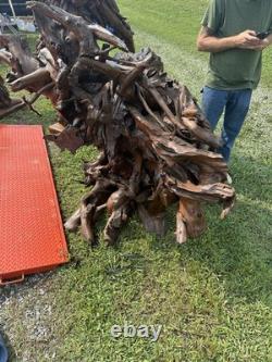 Grand Tête de Pirate en Teck Sculptée à la Main, Pièce Absolument Éblouissante et Unique