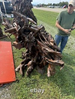 Grand Tête de Pirate en Teck Sculptée à la Main, Pièce Absolument Éblouissante et Unique