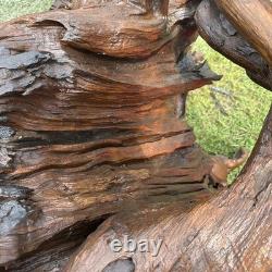 Grand Tête de Pirate en Teck Sculptée à la Main, Pièce Absolument Éblouissante et Unique