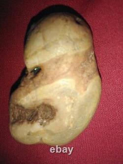 L'une Des Rares Agates Ressemble À Une Tortue Ninja.