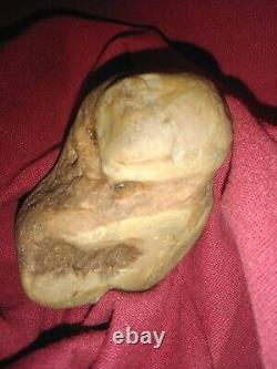 L'une Des Rares Agates Ressemble À Une Tortue Ninja.