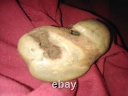 L'une Des Rares Agates Ressemble À Une Tortue Ninja.