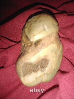 L'une Des Rares Agates Ressemble À Une Tortue Ninja.