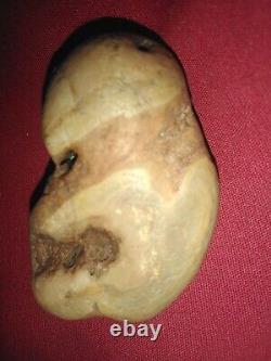 L'une Des Rares Agates Ressemble À Une Tortue Ninja.