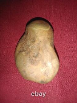 L'une Des Rares Agates Ressemble À Une Tortue Ninja.