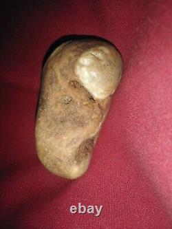 L'une Des Rares Agates Ressemble À Une Tortue Ninja.