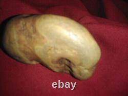 L'une Des Rares Agates Ressemble À Une Tortue Ninja.