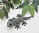 L&eacute;zard Gecko B&eacute;b&eacute; En Fimo ! - Unique En Son Genre ! - D&eacute;tails Incroyables ! Livraison Gratuite