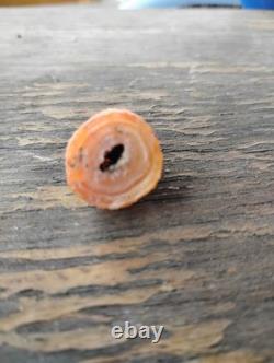 Nodule d'agate d'œuf de dragon orange unique en son genre du sud de l'Oregon