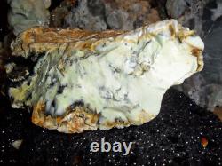 Opalite dendritique australien / Citron Chrysoprase Cristal Grand Rare