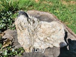 Pièce de collection unique en son genre, grand cristal de quartz blanc de 12 lbs, Monts Blue Ridge