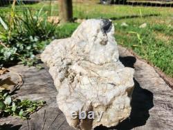 Pièce de collection unique en son genre, grand cristal de quartz blanc de 12 lbs, Monts Blue Ridge