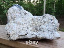 Pièce de collection unique en son genre, grand cristal de quartz blanc de 12 lbs, Monts Blue Ridge